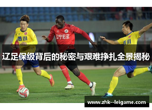 辽足保级背后的秘密与艰难挣扎全景揭秘